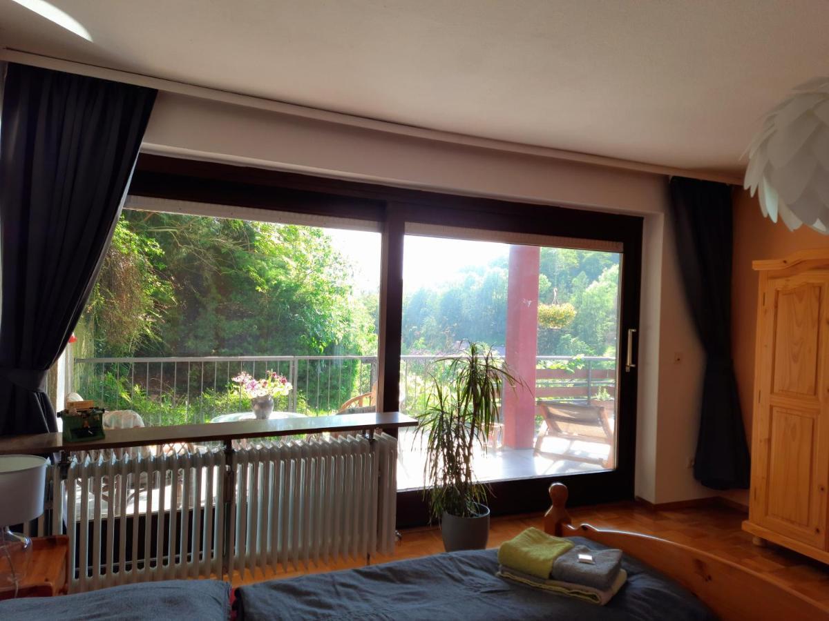 Ferienwohnung Rhododendron - Natur Pur Am Highwalk روتنبرغ ان در فل المظهر الخارجي الصورة