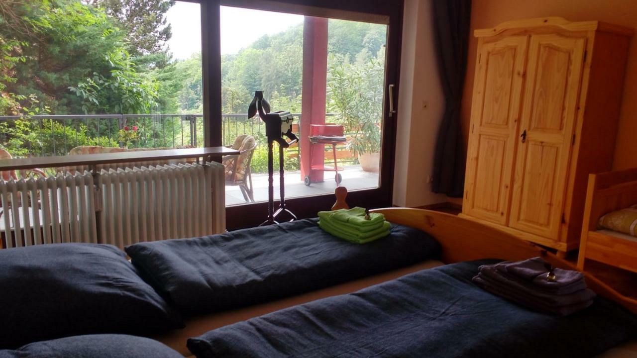 Ferienwohnung Rhododendron - Natur Pur Am Highwalk روتنبرغ ان در فل المظهر الخارجي الصورة