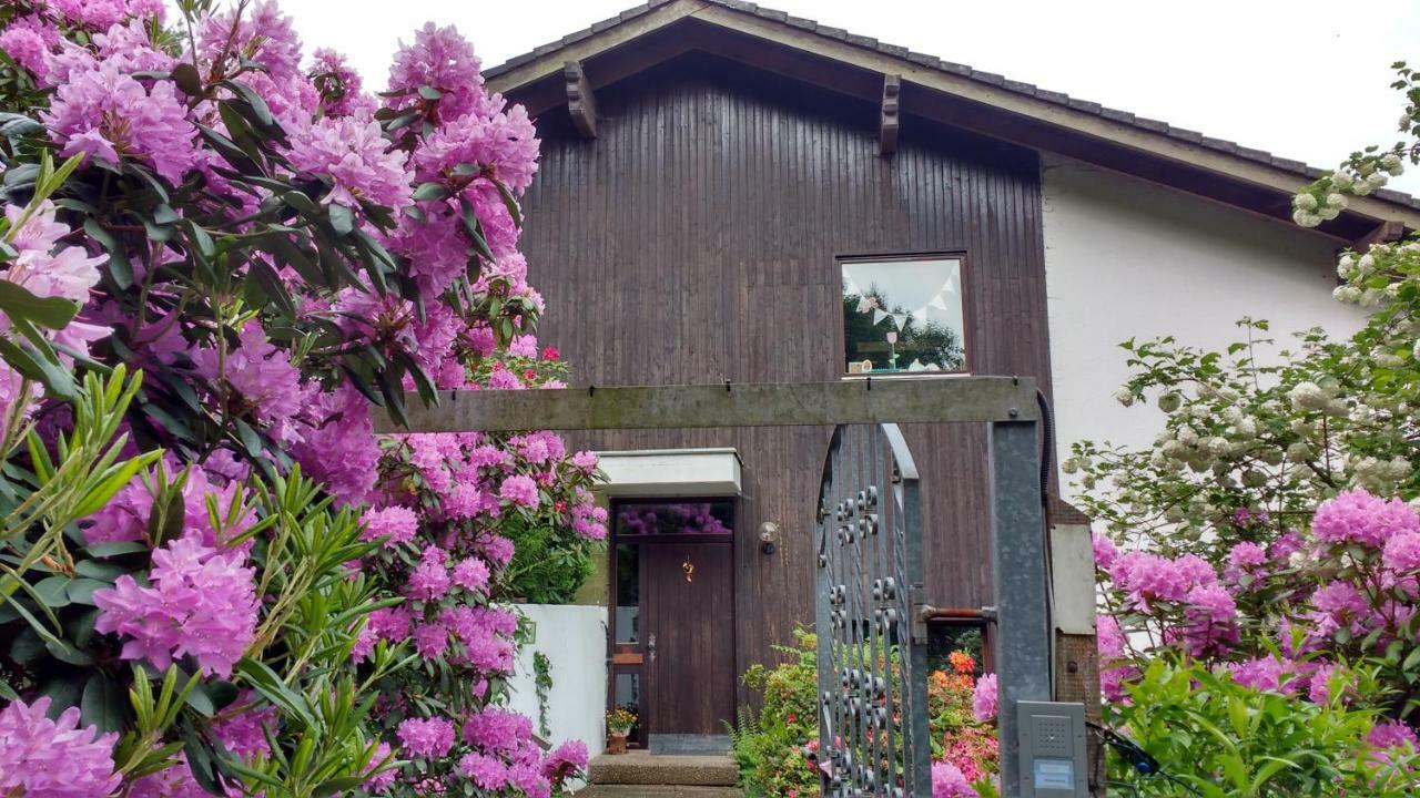 Ferienwohnung Rhododendron - Natur Pur Am Highwalk روتنبرغ ان در فل المظهر الخارجي الصورة